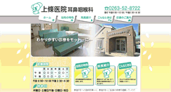 Desktop Screenshot of kamijo-ent.com
