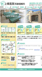 Mobile Screenshot of kamijo-ent.com